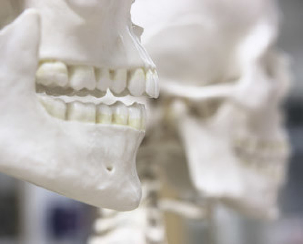 Can we make bones tooth formation heal faster? My BEST Dentists